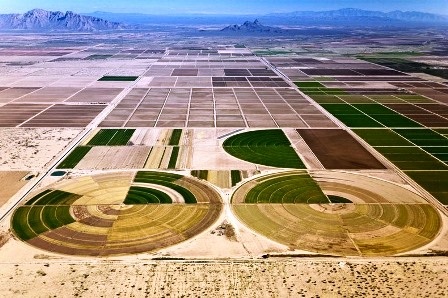 Hệ thống tưới tiêu trung tâm sa mạc Large ở Eloy, Arizona, năm 2004
